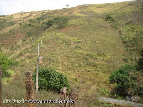 Sitio no Córrego da Natividade - Aimorés - MG com 29,10 hectares