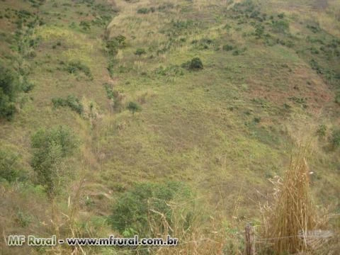 Sitio no Córrego da Natividade - Aimorés - MG com 29,10 hectares