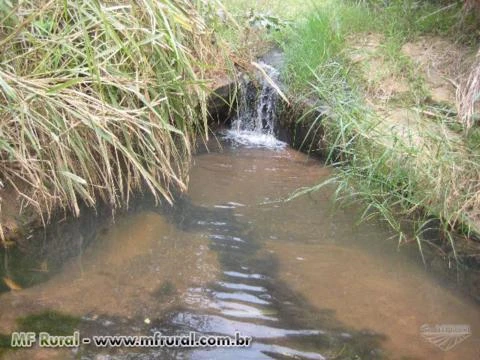 Sitio no Córrego da Natividade - Aimorés - MG com 29,10 hectares