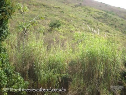 Sitio no Córrego da Natividade - Aimorés - MG com 29,10 hectares