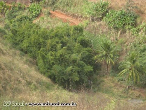 Sitio no Córrego da Natividade - Aimorés - MG com 29,10 hectares