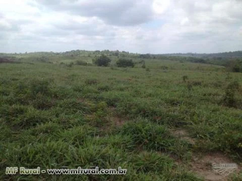 Fazenda no Pará para pecuária e agricultura