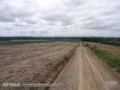 Fazenda Agropecuária com 650 hectares em região Nobre do Planalto Norte de SC