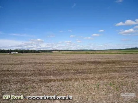 Fazenda Agropecuária com 500 hectares em São Mateus do Sul-PR Linda!