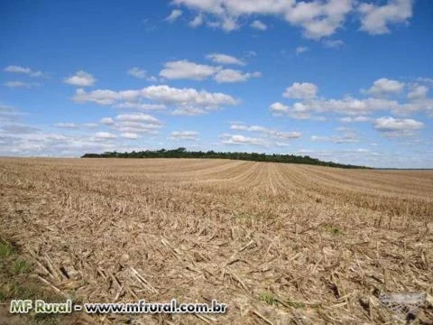 Fazenda Agropecuária com 500 hectares em São Mateus do Sul-PR Linda!