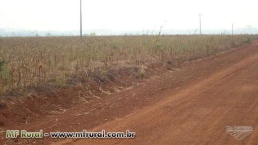 FAZENDA PARA SOJA/GADO DE 4114 HECTARES EM CABIXI-RO