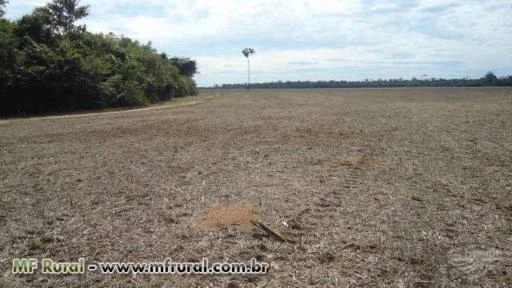 VENDO OU ARRENDO FAZENDA PARA SOJA EM RONDONIA