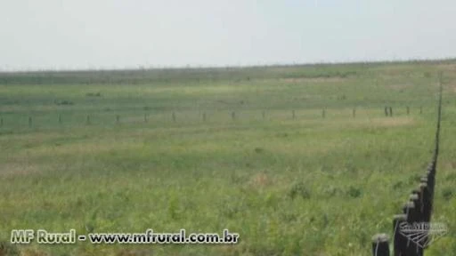 SITIO EM VILHENA-RO DE 100 HECTARES DE DUPLA APTIDÃO