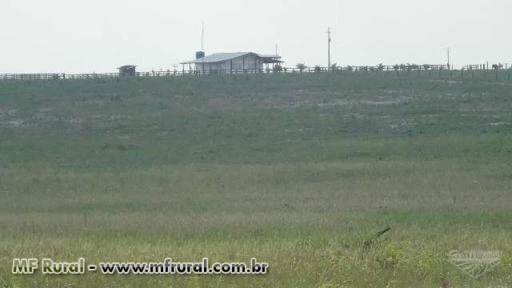 SITIO EM VILHENA-RO DE 100 HECTARES DE DUPLA APTIDÃO