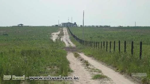 SITIO EM VILHENA-RO DE 100 HECTARES DE DUPLA APTIDÃO