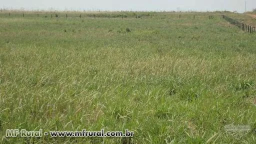 SITIO EM VILHENA-RO DE 100 HECTARES DE DUPLA APTIDÃO