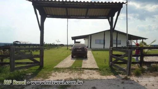 SITIO EM VILHENA-RO DE 100 HECTARES DE DUPLA APTIDÃO