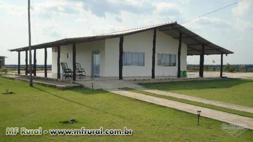 SITIO EM VILHENA-RO DE 100 HECTARES DE DUPLA APTIDÃO