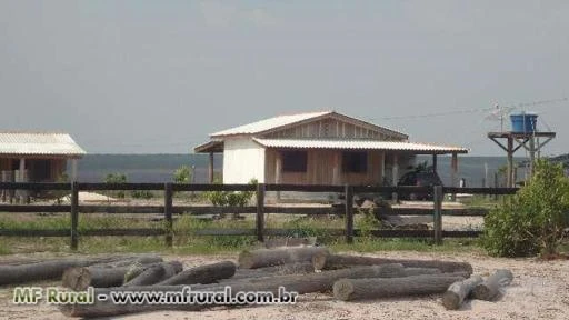 SITIO EM VILHENA-RO DE 100 HECTARES DE DUPLA APTIDÃO