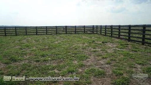 SITIO EM VILHENA-RO DE 100 HECTARES DE DUPLA APTIDÃO