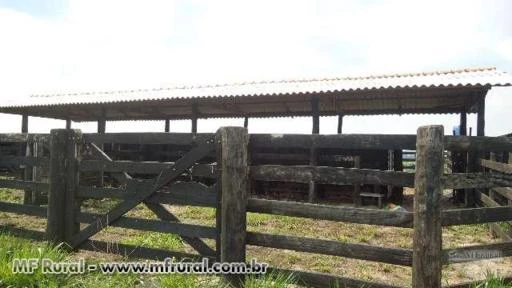 SITIO EM VILHENA-RO DE 100 HECTARES DE DUPLA APTIDÃO