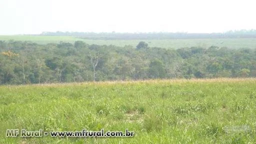 SITIO EM VILHENA-RO DE 100 HECTARES DE DUPLA APTIDÃO