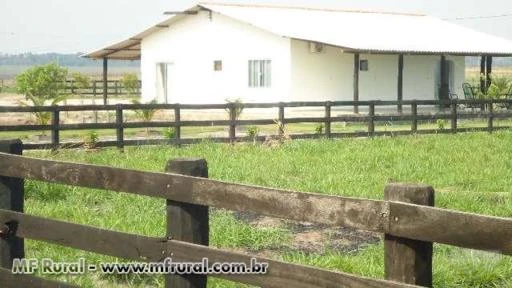 SITIO EM VILHENA-RO DE 100 HECTARES DE DUPLA APTIDÃO