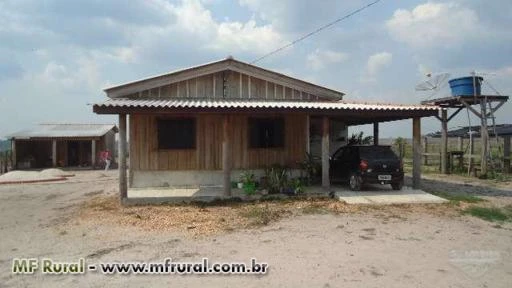 SITIO EM VILHENA-RO DE 100 HECTARES DE DUPLA APTIDÃO