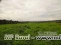 FAZENDA COM 5532 HECTARES EM PIMENTA BUENO-RO COM PASTOS E MANEJO FLORESTAL