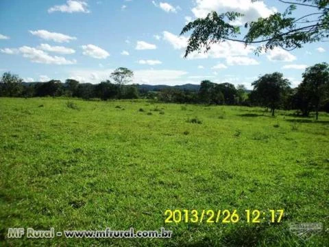 Fazenda de 60 hectares na região de Claudinápolis-GO cod.249