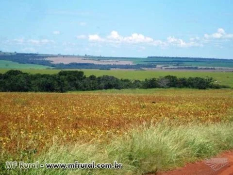 Fazenda de 5.808 hectares na região de Rio Verde-GO cod.216