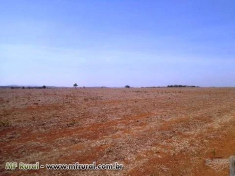 Arrendamentos de área para plantio de soja em Goiás