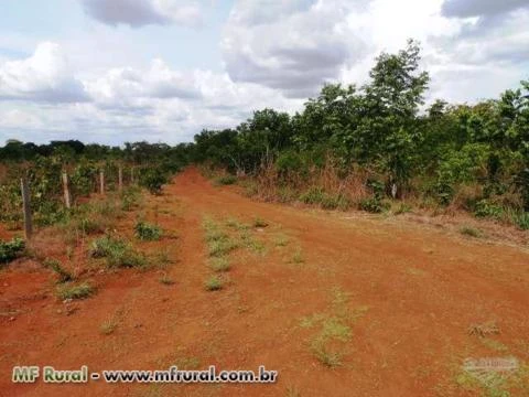 Fazenda de 1.253 hectares ( 259 alq.) em Araguacema-To