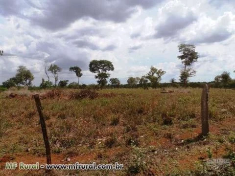 Fazenda de 1.253 hectares ( 259 alq.) em Araguacema-To