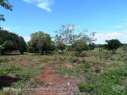 Fazenda de 1.485 hectares ( 307 alq.) em Caseara – To