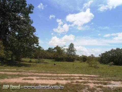 Fazenda de 1.485 hectares ( 307 alq.) em Caseara – To