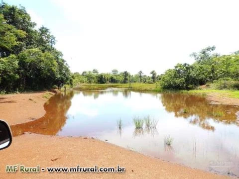 Fazenda de 1.485 hectares ( 307 alq.) em Caseara – To