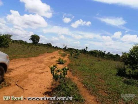 Fazenda de 1.485 hectares ( 307 alq.) em Caseara – To