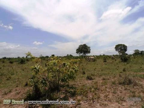 Fazenda de 1.485 hectares ( 307 alq.) em Caseara – To