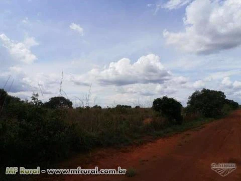 Fazenda de 1.790 hectares ( 370 alq.) em Araguacema-To