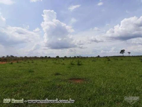 Fazenda de 1.790 hectares ( 370 alq.) em Araguacema-To