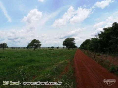 Fazenda de 3.780 hectares ( 781 alq.) em  Caseara-To