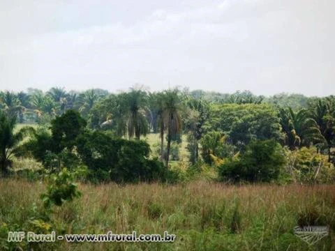 Fazenda de 3.780 hectares ( 781 alq.) em  Caseara-To