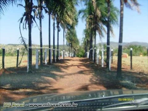 Chácara de 5,5 alq.(27 há.) no mun. de Campestre de Goiás-GO cod. 136