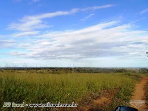 Fazenda de 127 alq.(614 há.) Município de Moiporá – Go