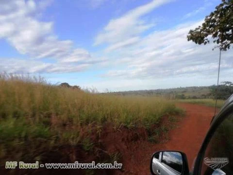 Fazenda de 127 alq.(614 há.) Município de Moiporá – Go