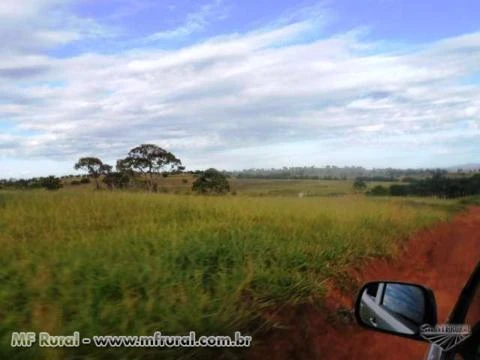 Fazenda de 127 alq.(614 há.) Município de Moiporá – Go