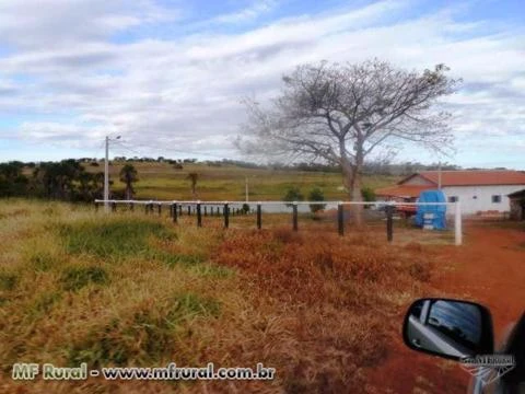 Fazenda de 127 alq.(614 há.) Município de Moiporá – Go