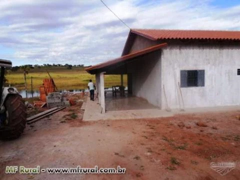 Fazenda de 127 alq.(614 há.) Município de Moiporá – Go