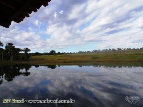 Fazenda de 127 alq.(614 há.) Município de Moiporá – Go