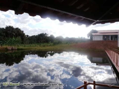 Fazenda de 127 alq.(614 há.) Município de Moiporá – Go