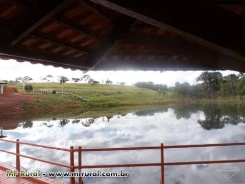 Fazenda de 127 alq.(614 há.) Município de Moiporá – Go