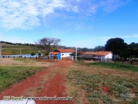 Fazenda de 127 alq.(614 há.) Município de Moiporá – Go