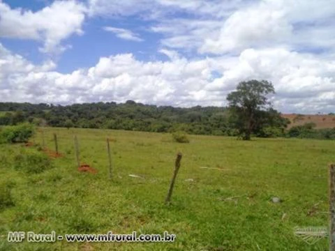 Fazenda de 26 alq.(126 ha.) no município de Nazário - Goiás
