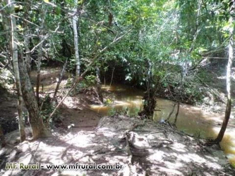 Fazenda de 26 alq.(126 ha.) no município de Nazário - Goiás